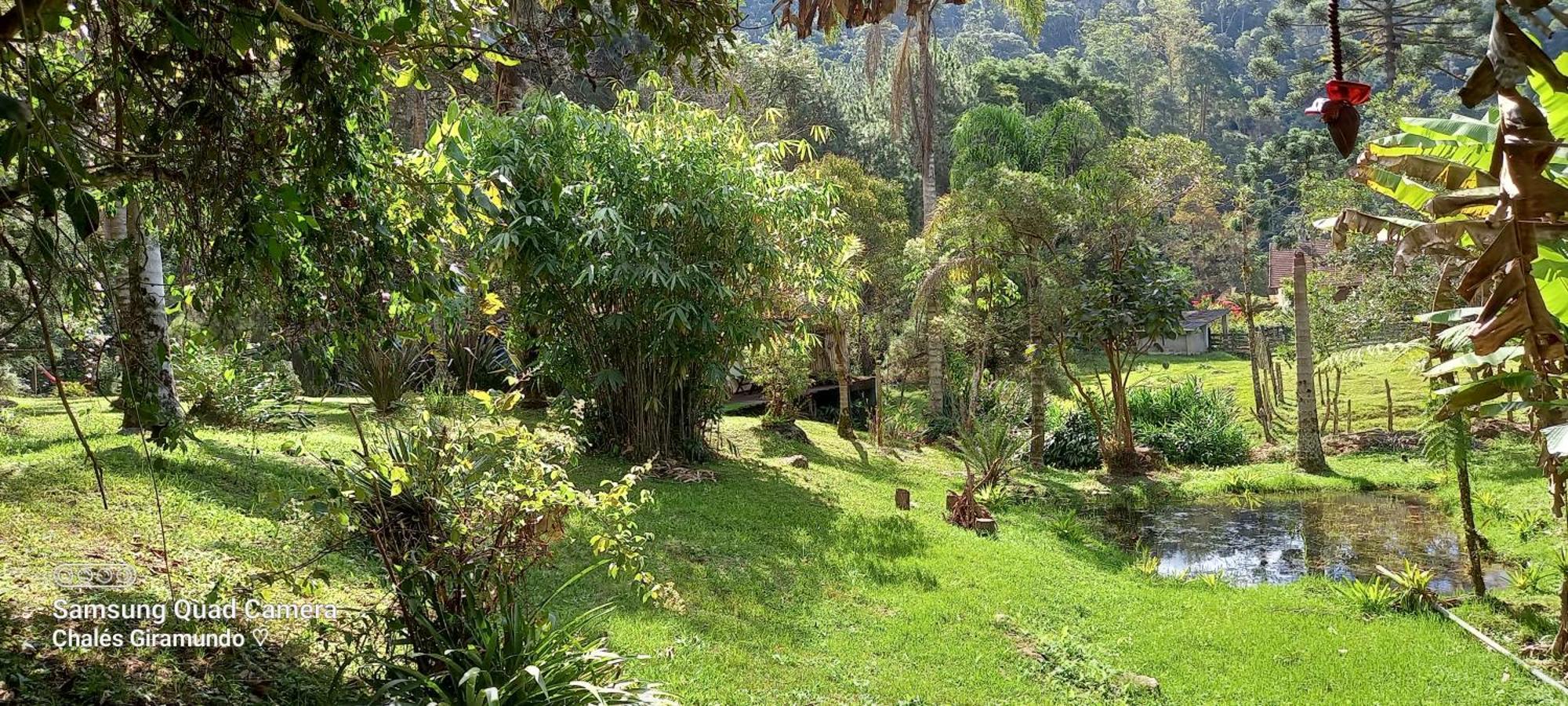 Giramundo * Visconde De Maua